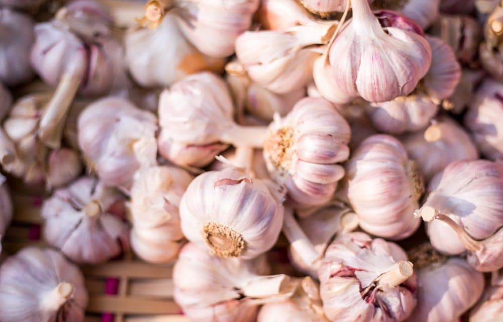 Can Garlic Help Lower My Blood Pressure?